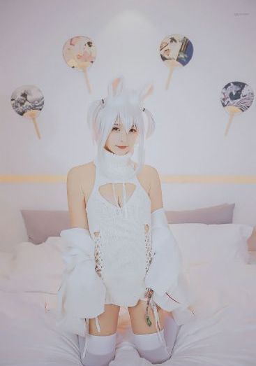一级特黄高清免费播放直播