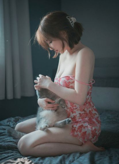 在线看电视剧