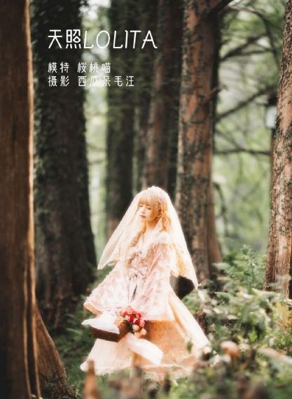 绝世战魂动漫在线播放