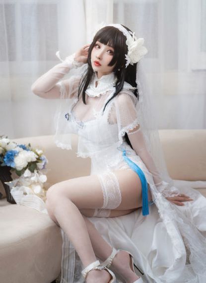 翼舞在线观看免费观看全部节目
