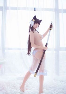 新十二生肖完整版免费观看